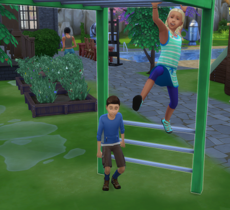 Cocoa and Galaxy play together on the monkey bars.