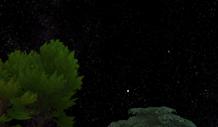 The sky at night in Granite Falls. Trees and stars as far as the eye can see.