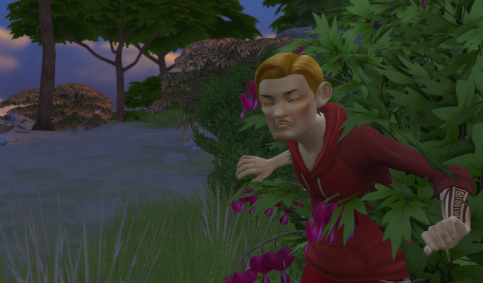 Arturo climbs out of a bleeding heart bush. The coast appears to be clear of passerbys.